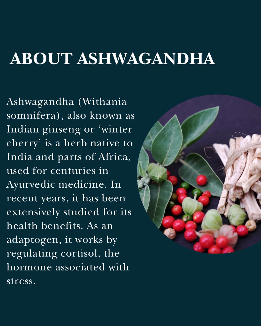 Doctor's Secret Ashwagandha Gummies | 5% Withanolides | Vegan | Natural Food Supplement Used to Support Stress, Anxiety, Sleep and Mental & Physical Performance | Non-GMO | Made in The UK