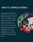 Doctor's Secret Ashwagandha Gummies | 5% Withanolides | Vegan | Natural Food Supplement Used to Support Stress, Anxiety, Sleep and Mental & Physical Performance | Non-GMO | Made in The UK